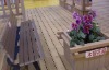 wood plastic composite bench