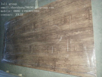 MELAMIEN moulded door skin