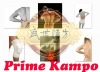 Prime kampo back pain relief plaster patch