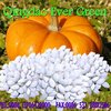 new crop chinesse snow white pumpkin seeds 13cm