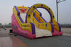 inflatable fancy slide/cheap inflatable bouncers