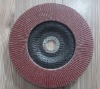 Vertical and Flat Abrasive Flap Disc