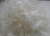 white duck feather 2-4cm