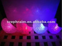 7 colors LED EVA Light