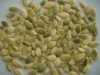 Chinese hulled pumpkin seeds /kernels,shine skin Grade A